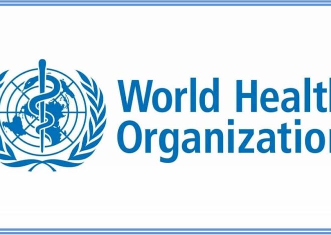 Worldwide Health Organization calls on Nigerian government to fight malaria by investing in data